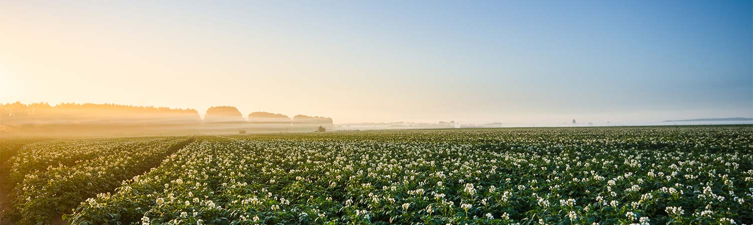 Komeco is producent van gecomposteerde organische meststoffen die bijdragen aan een rijke bodem, betere gewasgroei en daarmee een duurzame wereld.