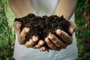 De bodem is de basis voor de groei van gewassen en planten | Komeco