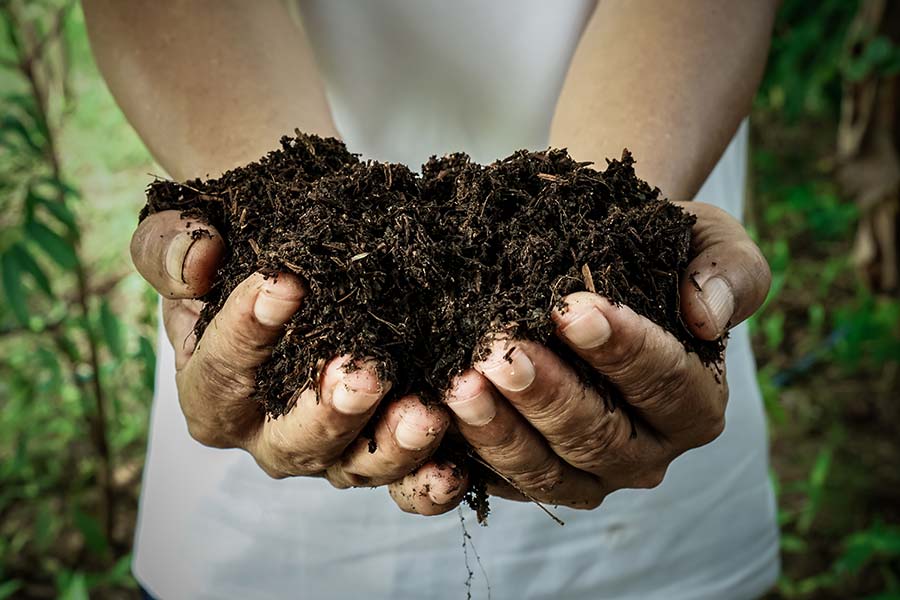 Le sol est la base de la croissance des cultures et des plantes et très important pour l’agriculture. Un sol sain commence avec les engrais organique de Komeco