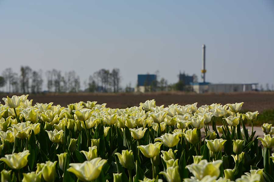 Komeco in Flevoland tijdens tulpenroute