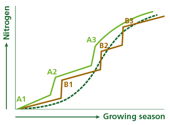 Nitrogen during cultivation