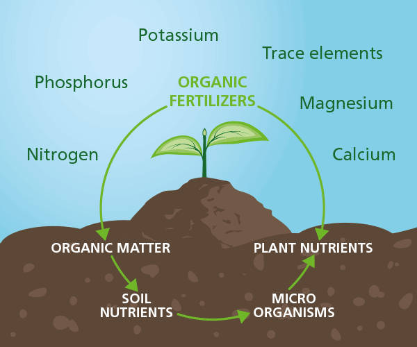 A healthy soil leads to better plant growth and higher yields. A richer soil starts with the organic fertilizers of Komeco!