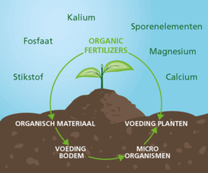 Door de bodem van de juiste voedingsstoffen te voorzien, heeft dit in een later stadium een positief effect op de groei van de plant.