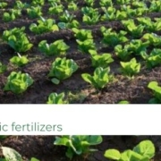 part-2-npk-in-organic-fertilizers-www