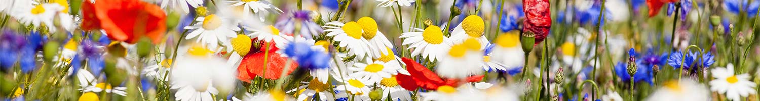 Engrais organiques différentes pour toutes types de sol