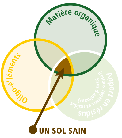 La nutrition du sol est essentielle pour la continuité du sol et la vie du sol. Utilisez les engrais organique pour un sol sain et fertile.