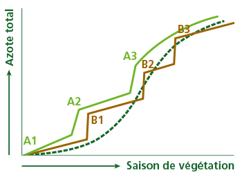 L’alimentation des plantes via les engrais organiques. Nourrissez le sol et les plantes.