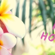 different-opening-hours-spring-holiday-banner