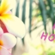 different-opening-hours-spring-holiday-banner