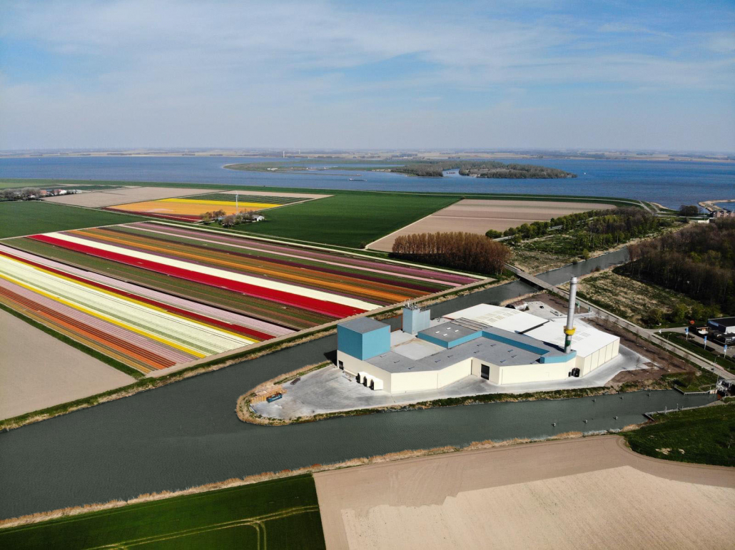 Tulip-fields-Netherlands-Komeco