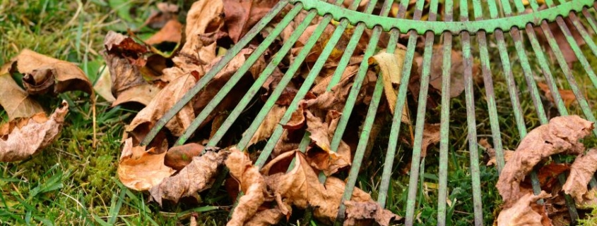tuin winterklaar maken