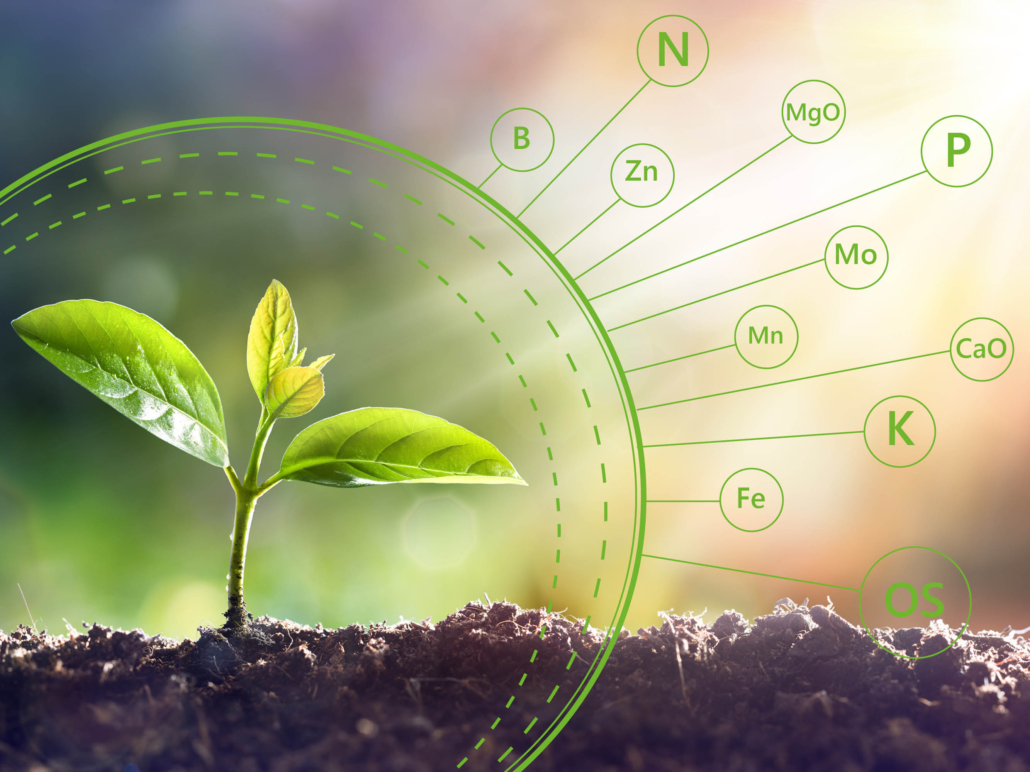 macro and micronutrients