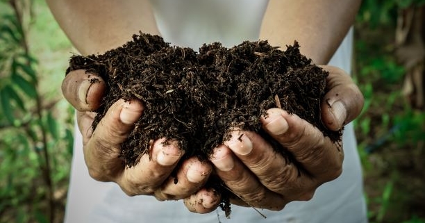 waarom een bodem macro en micronutriënten nodig heeft