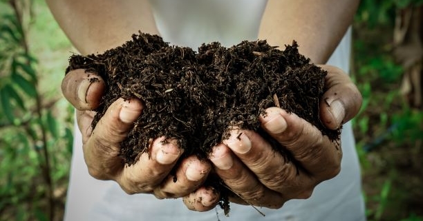 why a soil needs macro and micronutrients