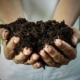 why a soil needs macro and micronutrients