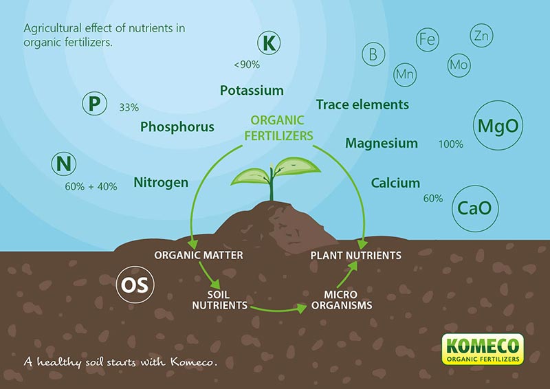 fertilizer types and uses