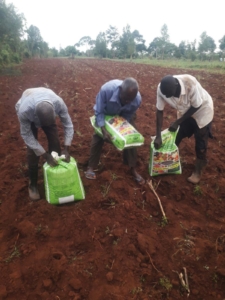 organic fertilizer fertisol part fertilizer plan in uganda