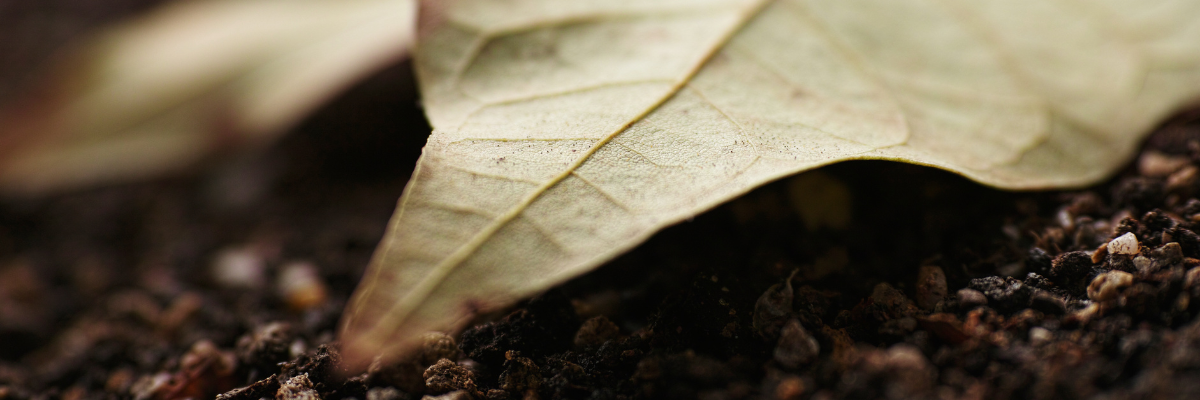 Herfst-Komeco-Vruchtbare grond - Bodem - Najaar